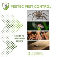 Pestec Pest Control image 3