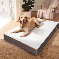 Paw Comfort UK image 1