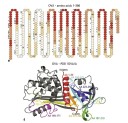 Ovalbumin Epitope Peptide Antibodies logo