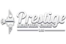 Prestige Leather Care image 4