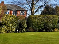 Tree Surgeons Bolton image 1