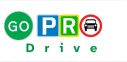 GoProDrive logo