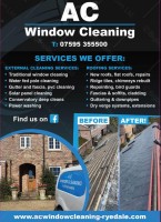 AC Window Cleaning image 1