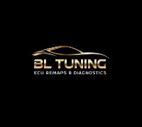 BL Tuning ECU Remaps & DPF Cleaning image 5