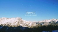 Snowbizz image 2