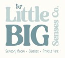 Little Big Senses Co logo