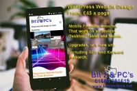 Bitzandpcs.net WordPress Web Design image 2