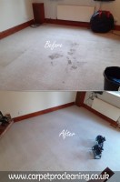 CarpetProCleaning image 11