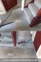 CarpetProCleaning image 10