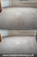 CarpetProCleaning image 2