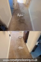 CarpetProCleaning image 4