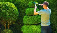 Tree Surgeon Pro image 9