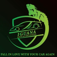 Iguana Detailing & Mobile Car Care image 1