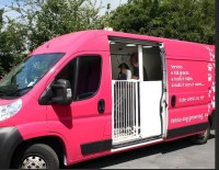 P & P Mobile Dog Grooming image 3