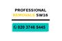 Professional Removals SW16 logo