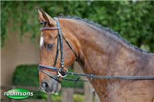 Horse Equipment - Robinsons Equestrian  image 3