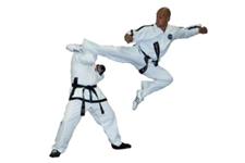 Harrow Taekwondo Tigers image 1