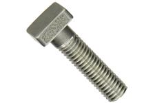 Big Bolt Nut image 1