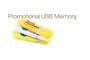 Promotional USB Memory Sticks logo
