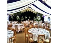 West Country Marquees image 3