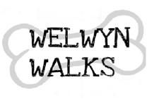 Welwyn Walks image 2