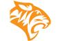 Tiger Global Ltd logo