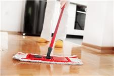 Putney Carpet Cleaners Ltd image 8