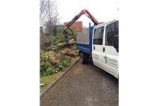 Treestyle Arboriculture and Tree Surgeons image 4