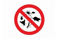 Pest Control Essex image 1