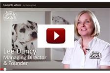 Barking Mad Pet Care Professionals image 3
