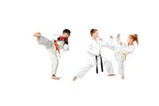 karate & kickboxing image 1