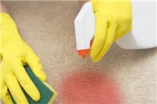 Islington Carpet Cleaners Ltd image 4