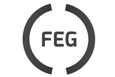FEG Ltd image 1