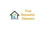 True Domestic Cleaners logo