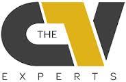 The CV Experts Ltd image 1