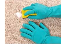Carpet Cleaning Birkenhead image 1