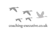 Coaching Executive image 1