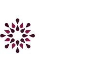 THE DRINKS CONCIERGE  image 1