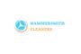 Hammersmith Cleaners Ltd. logo