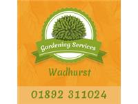 Gardening Services Wadhurst image 1