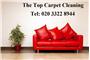 The Top Carpet Cleaning logo