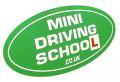 Mini Driving School image 5