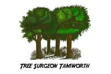 Tree Surgeon Tamworth image 1