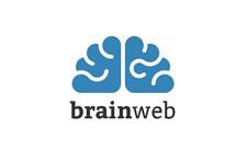 BrainWeb image 1