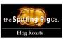 Spitting Pig Central (Buckinghamshire) logo