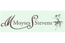 Moyses Stevens - wedding flowers specialist image 1