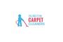 Islington Carpet Cleaners Ltd logo