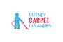 Putney Carpet Cleaners Ltd. logo