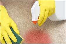 Carpet Cleaners Surrey Ltd. image 3