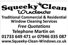 Squeeky Clean Windows image 4